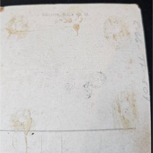 Bonn Rheinbrücke J. Wollstein Berlin Vintage Postcard No. 43 Early 20th Century - Picture 3 of 6